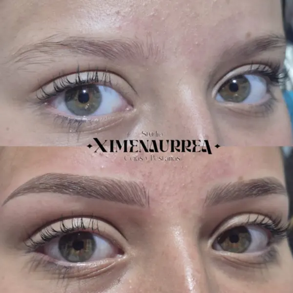 Cejas micropigmentadas pelo a pelo con definición perfecta