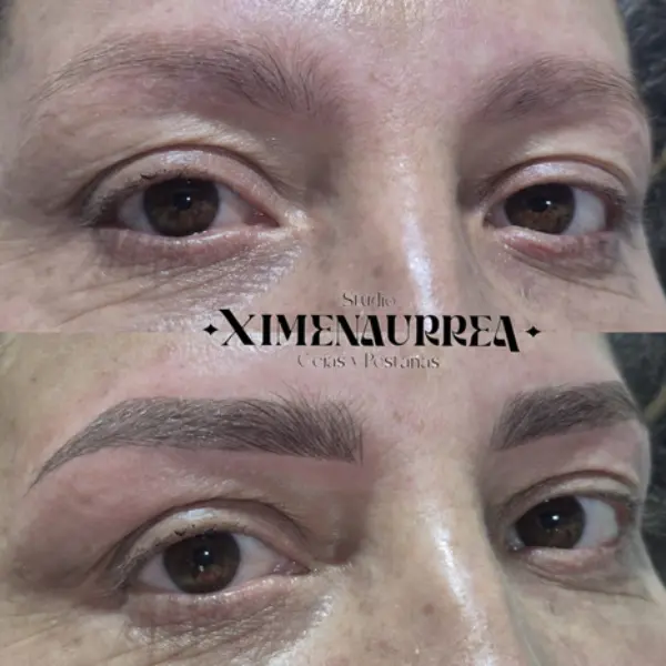 Aplicación profesional de cejas micropigmentadas pelo a pelo